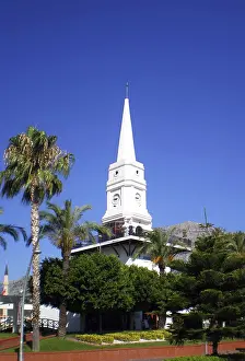 A tall white clock tower surrounded by palm trees