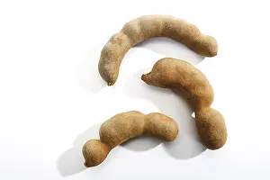 Tamarind