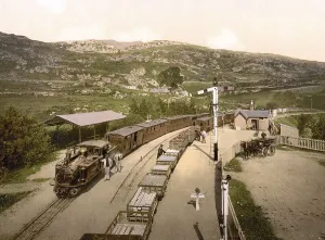 Tan-Y-Bwlch, Ffestiniog Railway