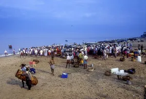 Tanur, Small Coastal Fishing Town