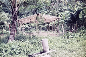 Tap in foreground water supply for greenhouse for bringing on plants, farming in rural Trinidad c 1962