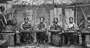 Tea sorters in China, historical illustration