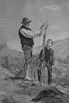 Teaching how to graft a tree, historical engraving
