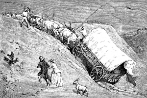A team of oxen pulling a covered wagon up the steep riverbank after a river crossing, whips, couple, goat, colonial era, Namibia, former German colony, historical illustration 1886, Africa