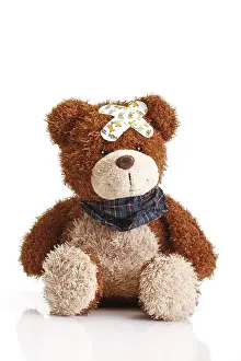 Teddy bear with band-aids on its head