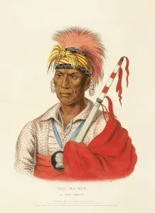 Teh-Ro-Hon, An Ioway Warrior (1838)