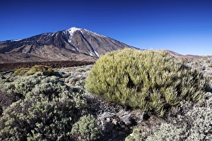 Teide volcano in the Teide National Park