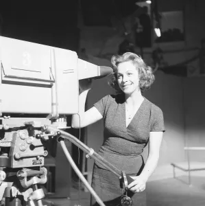 Television in the 1950s