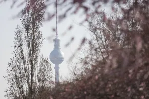 The television tower behind the first blooming cherry blossoms in Berlin