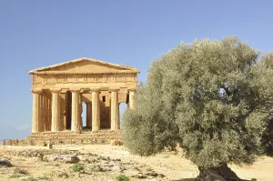The Temple of Concord is a Greek temple of the ancient city of Akragas located in the Valley of the Temples