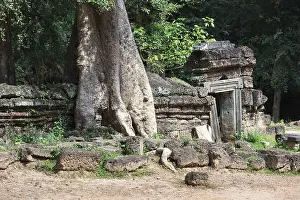 Temple ruins of Ta Prohm with giant banyan tree