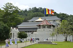 (Temple of the Sacred Tooth) Relic