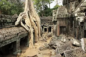The temple of Ta Prohm in Cambodia