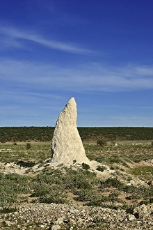 Termite mound, Etosha National Park