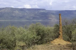 Termite mound, vertical column