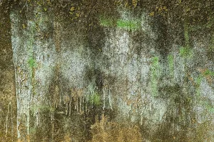 A textured wall displays layers of peeling blue and brown paint