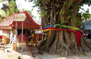 Many Thai people believe that every house should have its own spirit house providing for the well-being of the locality