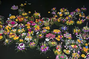 Thailand, Koh Samui, Loy Krathong Festival