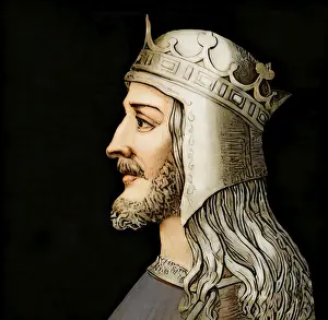 Theodoric the Great, Flavius Theodericus Rex