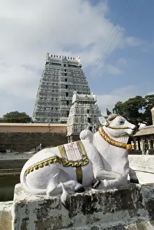 Thiruvannamalai temple, Tamil Nadu, India