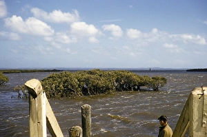 This is thought to be related to the extensive flooding on the Murray River, Victoria, Australia in 1956, the year known as the Big Wet