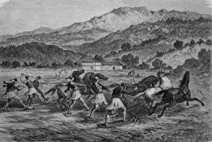 Thrashing of crop in Greece, historical illustration