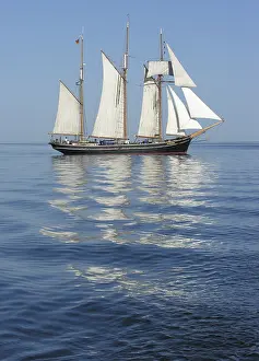 The three-masted topsail schooner Albatros on the Baltic Sea