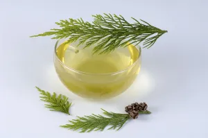 Thuja occidentalis (Thuja occidentalis)