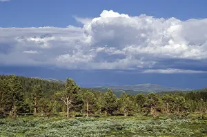 Thunderclouds, Jotunheimen National Park