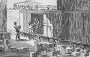 Thurber & Co canning factory in Moorestown