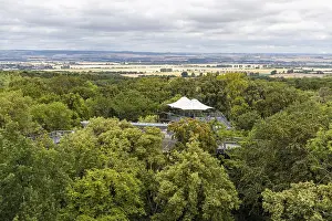Thuringia Hainich National Park Treetop Walk