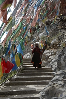 Tibetan Buddhism, Tibetan performing a Kora pilgrimage walk along stairs under colourful flags