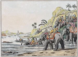 Tiger hunt on a river, India, hand-coloured copperplate engraving from Friedrich Justin Bertuch Bilderbuch fuer Kinder