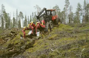 Timber industry, caterpillar at work on clear cut