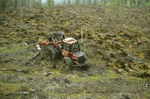 Timber industry, caterpillar at work on clear cut
