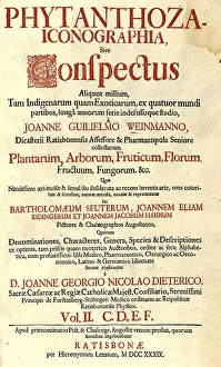 Title page of the book Phytanthoza Iconographica