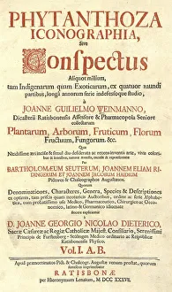 Title page of the botanical work Phytanthoza iconographia