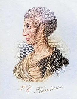 Titus Quinctius Flamininus, c. 228 BC