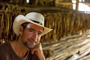 Tobacco farmer, tobacco farmer Luis Manne Alvares Rodrigues on his tobacco farm in the Vinales Valley
