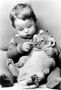 Toddler cuddles with baby lion