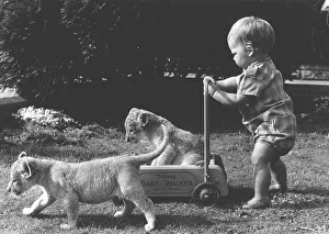 Toddler plays with predator babies