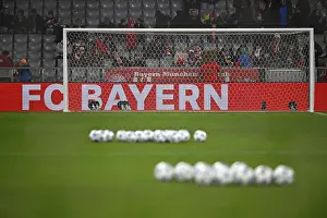 Category Historic EN Prints: Tor tor, empty, perimeter advertising FC Bayern