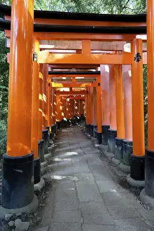 Torii, Fushimi Inari Shrine, Kyoto