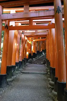 Torii, Fushimi Inari Shrine, Kyoto