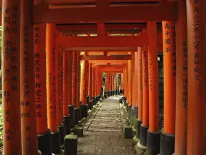 Torii Gates, Fushimi Inari Shrine