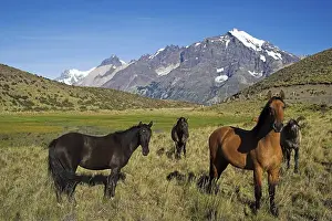 Torres del Paine National Park