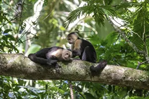 Tortuguero National Park, Costa Rica