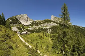 Totes Gebirge, Alpine huts on theTauplitz Alm