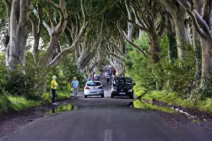 Tourist group, crowd, walker, car traffic