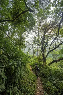 Tourist guide on hiking trail through dense vegetation in tropical mountain rainforest